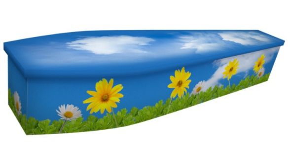 Daisy Flowers Coffin